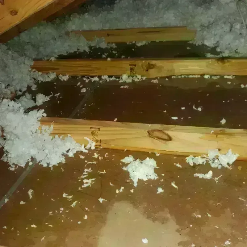 Attic Water Damage in Butler, MO