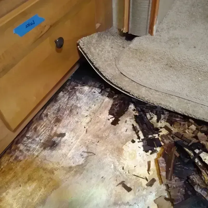 Wood Floor Water Damage in Butler, MO